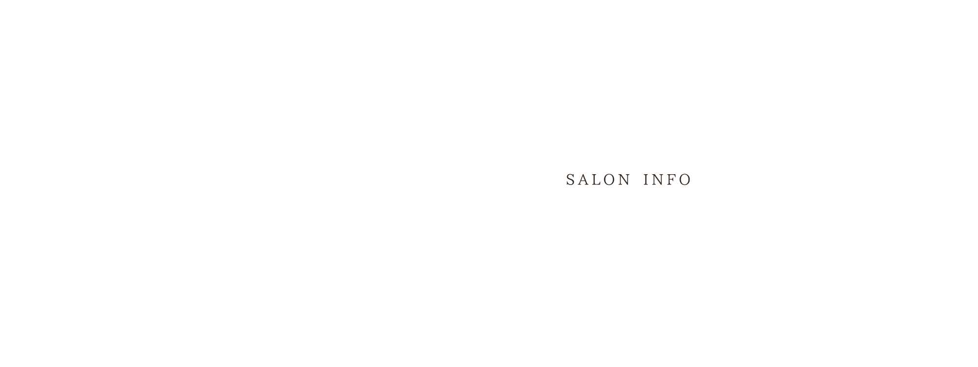 SALON INFO